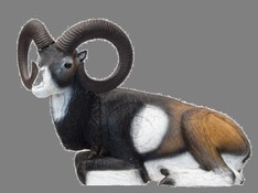 Mouflon couché