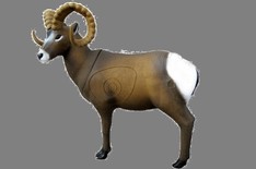 Mouflon