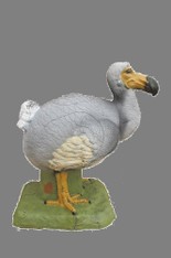 Dodo