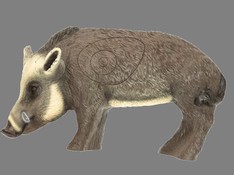 Sanglier 1